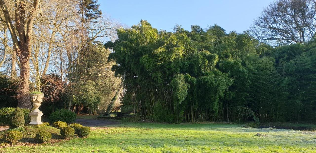 La Villa Des Arts Savigne-l'Eveque Eksteriør billede